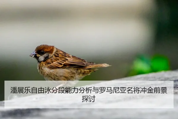 pan-zhan-le-zi-you-yong-fen-duan-neng-li-fen-xi-yu-luo-ma-ni-ya-ming-jiang-chong-jin-qian-jing-tan-tao-2-322.jpg