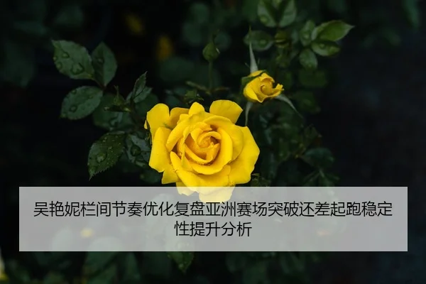 吴艳妮栏间节奏优化复盘亚洲赛场突破还差起跑稳定性提升分析 - Kaiyun FIFA WorldCup