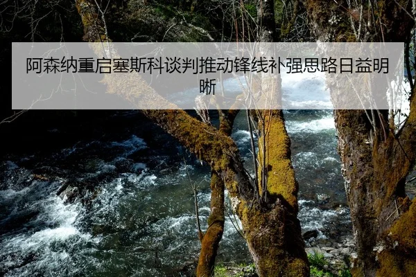 阿森纳重启塞斯科谈判推动锋线补强思路日益明晰