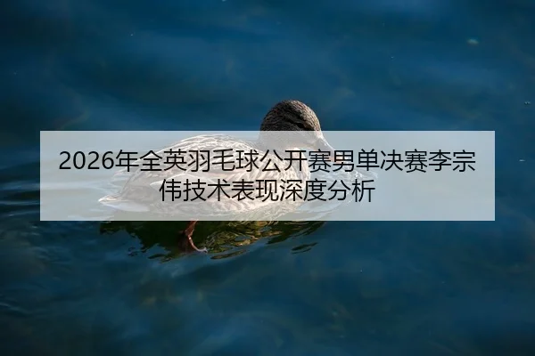 nian-quan-ying-yu-mao-qiu-gong-kai-sai-nan-dan-jue-sai-li-zong-wei-ji-shu-biao-xian-shen-du-fen-xi-2-411.jpg