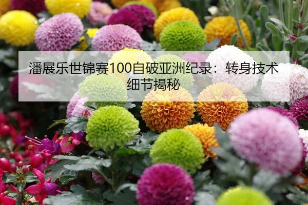 潘展乐世锦赛100自破亚洲纪录：转身技术细节揭秘