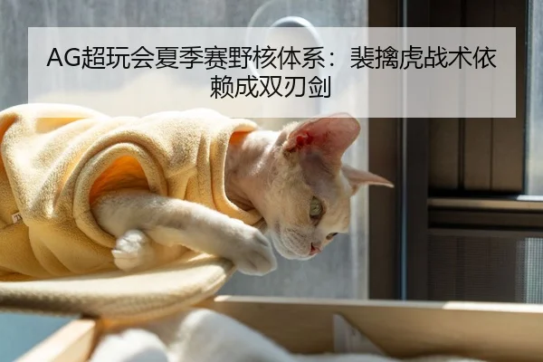 AG超玩会夏季赛野核体系：裴擒虎战术依赖成双刃剑