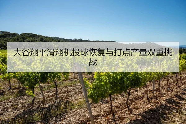 大谷翔平滑翔机投球恢复与打点产量双重挑战