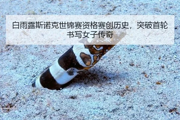 白雨露斯诺克世锦赛资格赛创历史，突破首轮书写女子传奇